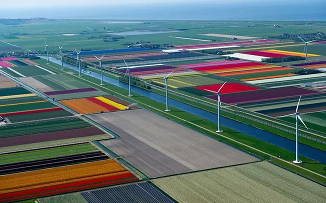​为什么荷兰的农业特色小镇这么有声有色？