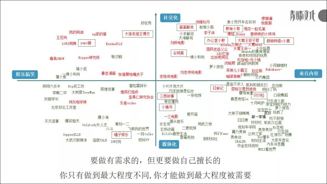 垂直领域的内容该如何打造IP？