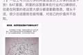 我在阿里学到的本领，足以让我成为每个战场的指挥官