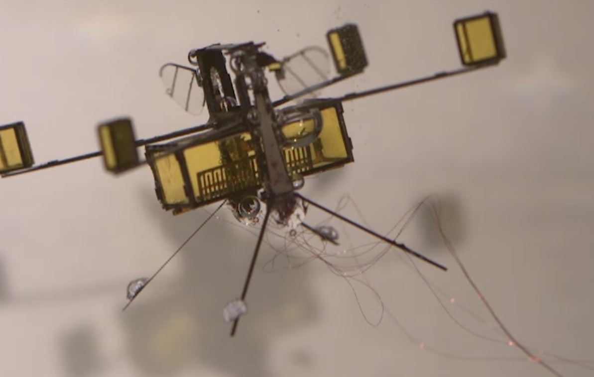 哈佛的这只“蜜蜂”机器人游泳潜水全都会，还能轻松破水而出