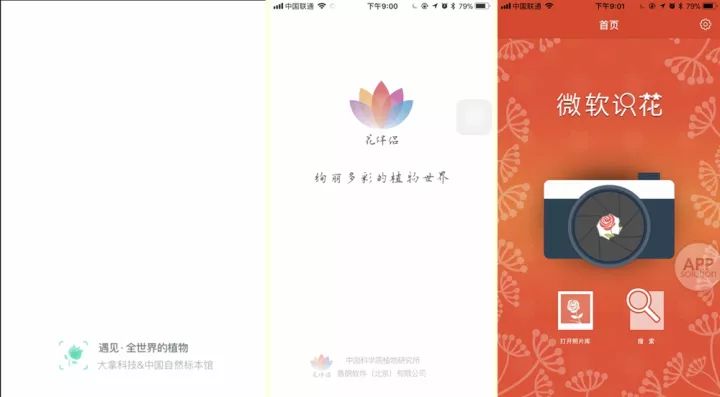 想知道那朵花的名字？试试用这三款 App 扫一扫