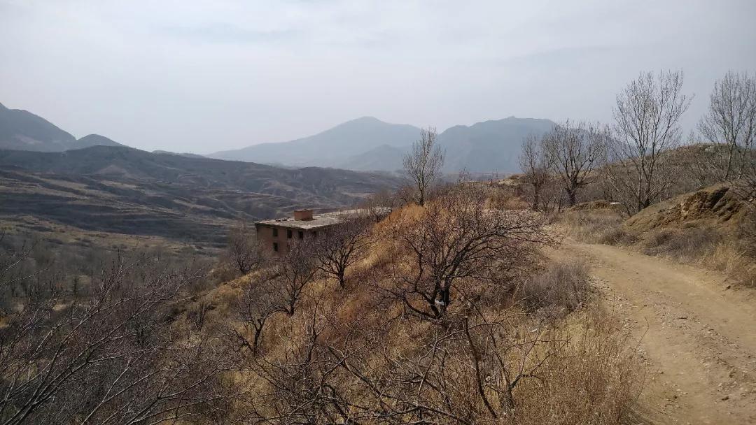 我去“红岸基地”原型地逛了逛，那儿好像人类消失后的世界