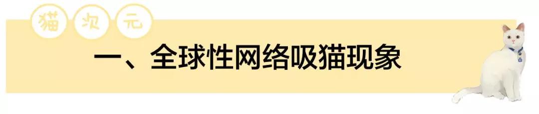吸猫引导的新兴文化潮流：中国猫次元经济现象研究