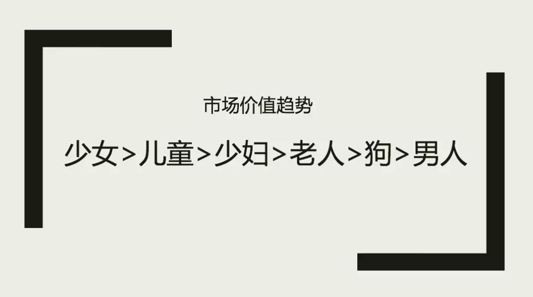 宠物消费升级——80 90后的“孤独生意”
