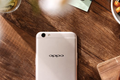 销量、营销双丰收的OPPO，线下渠道遭遇对手围堵怎么办？|大公司2017看点