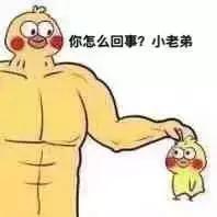 解码“认知之轮”：AI与人类的终极一战
