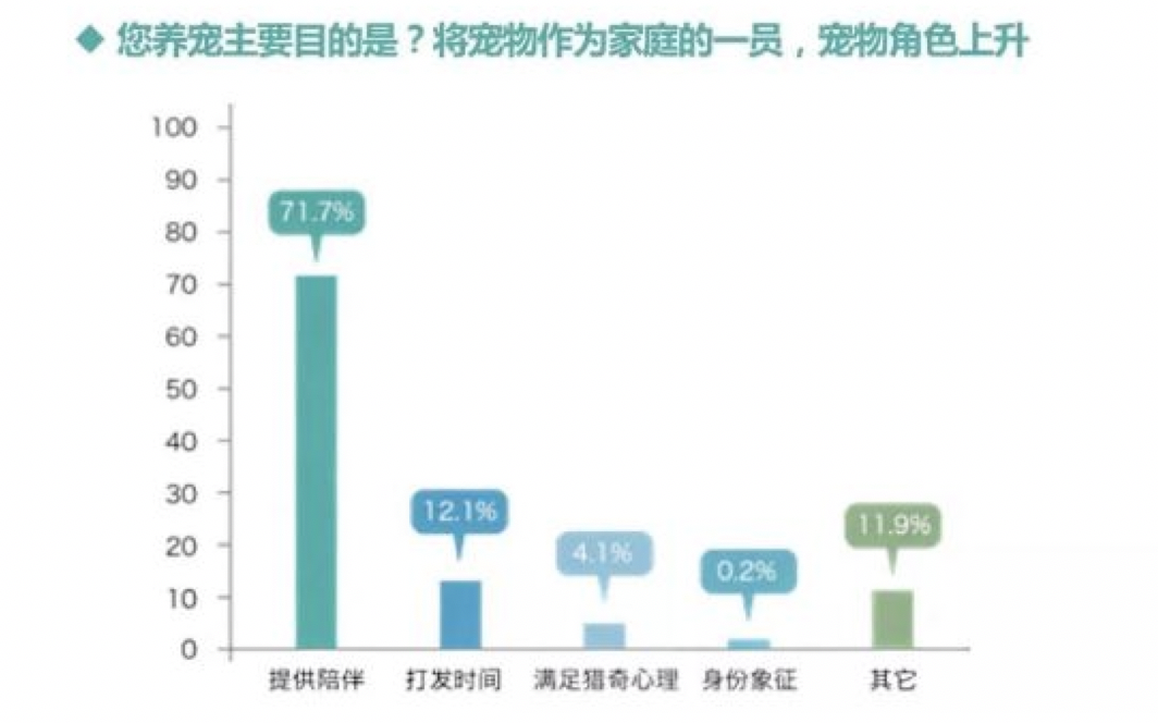 一段温情告白:流浪猫与都市白领演绎爱与被爱(图6) 一段温情告白:流浪猫与都市白领演绎爱与被爱(图6)