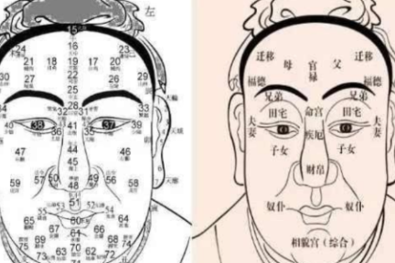 AI与偏见：从当代新“相面术”说起