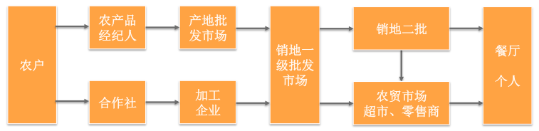 农业行业投资研究报告：因地制宜、因人制宜，重点关注种植管理和大数据两大农业领域