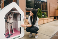 狗屋版摩拜单车 Dog Parker，为用户解决短期寄放宠物的痛点