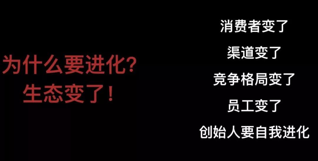 今日资本徐新：企业创始人要有杀手直觉，够快够狠