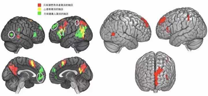 AI能否拯救下一个茅侃侃？算法破局创业者之殇