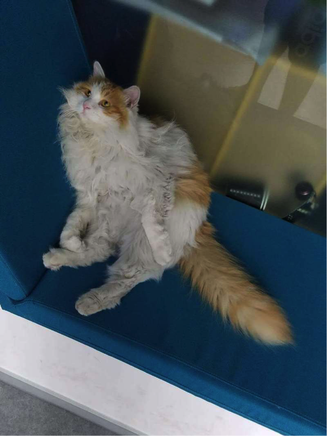 36氪：我们已经错过了两个亿的小目标，接下来还要错过一百亿