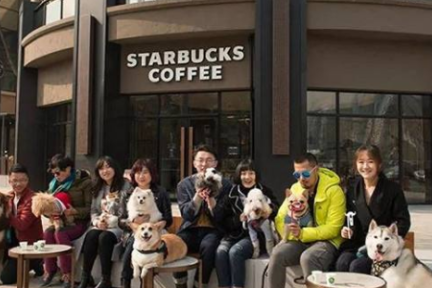一周消费 | 星巴克中国推出宠物友好门店；Gucci母公司与京东合作；苏芒离任时尚集团总裁