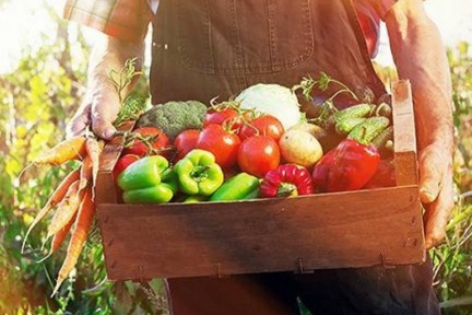 本来生活开线下店，想对标“盒马鲜生”、“超级物种”？