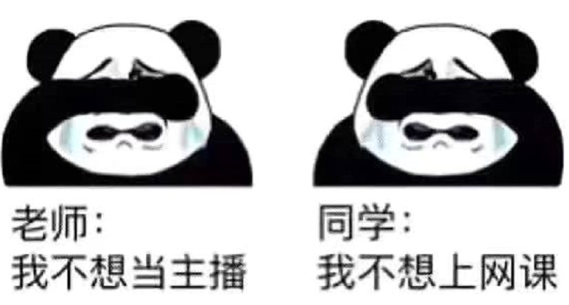 会议App被喷，新闻App“蹭网课”登上榜首……网课魔幻众生相