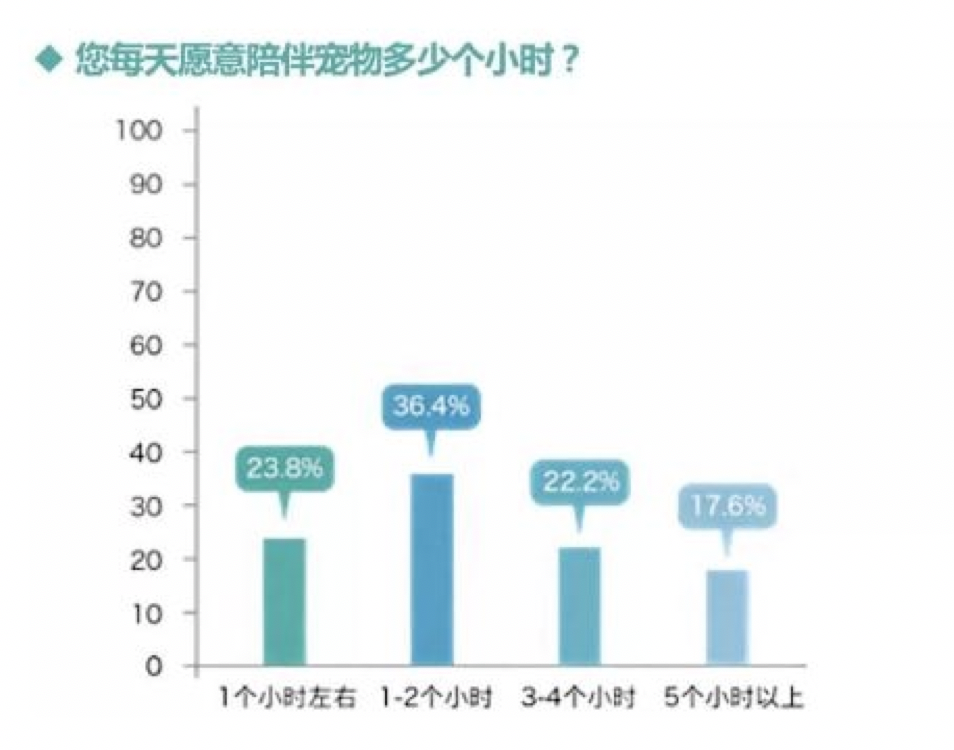 一段温情告白:流浪猫与都市白领演绎爱与被爱(图7) 一段温情告白:流浪猫与都市白领演绎爱与被爱(图7)