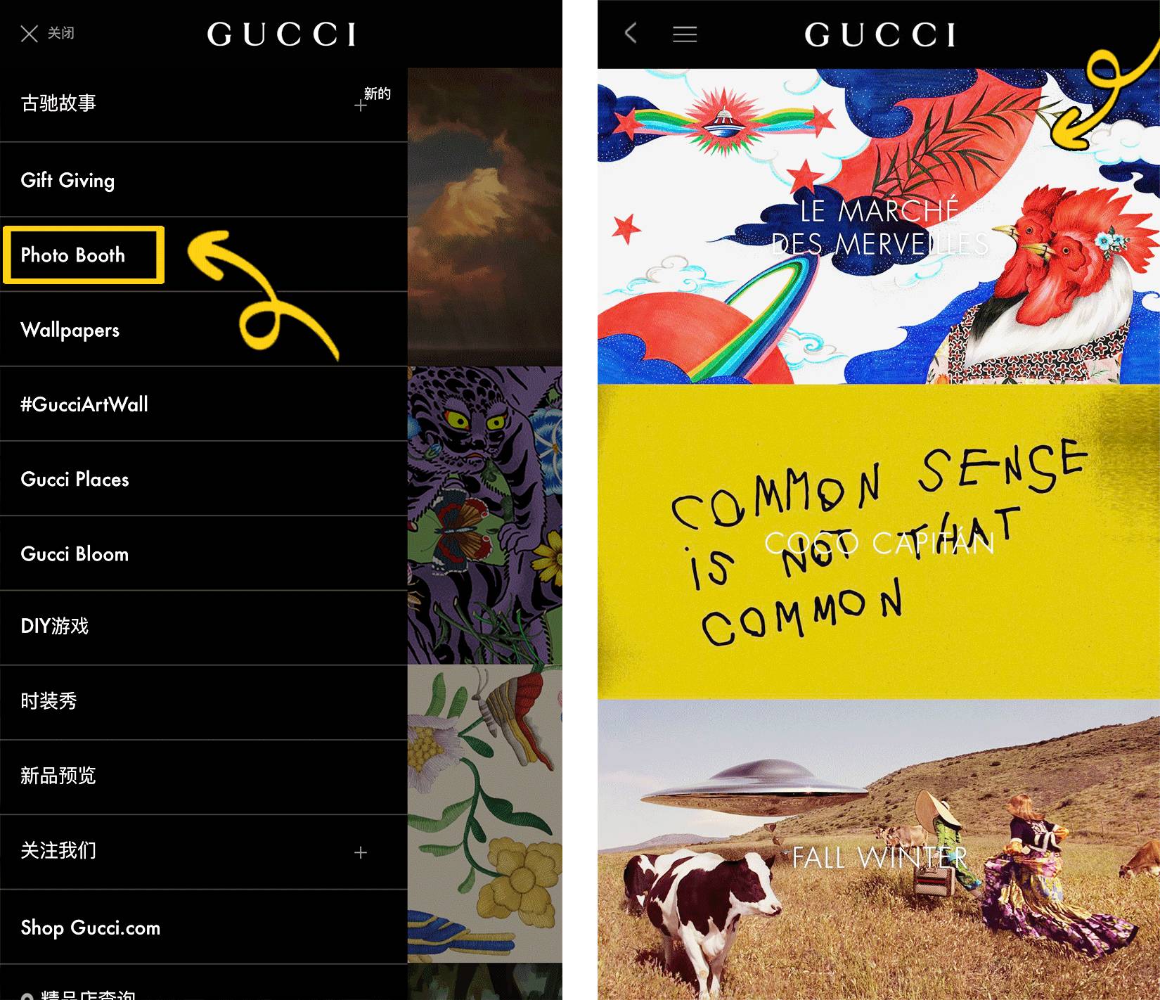 GUCCI在中国的另类打开方式：不爱天猫爱KOL