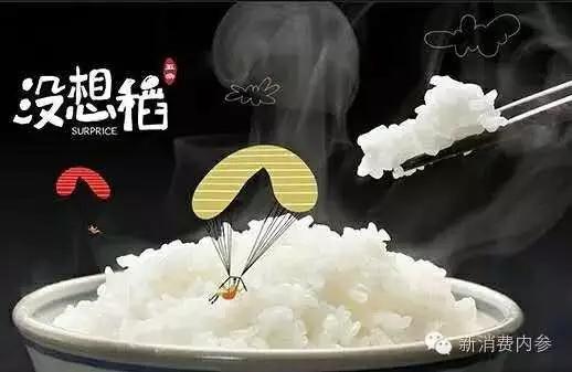 我研究了999个消费品牌名称，总结了这9条起名秘笈