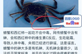 最前线 | 百度“守卫”搜索，诉今日头条不正当竞争索赔 9000 万