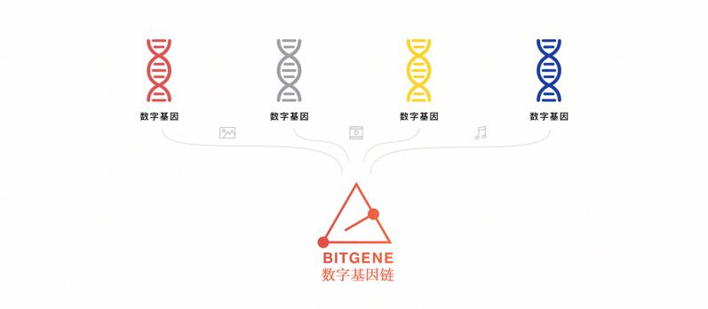 利用数字基因+区块链技术，Bitgene想做未来数字内容保护+交易平台