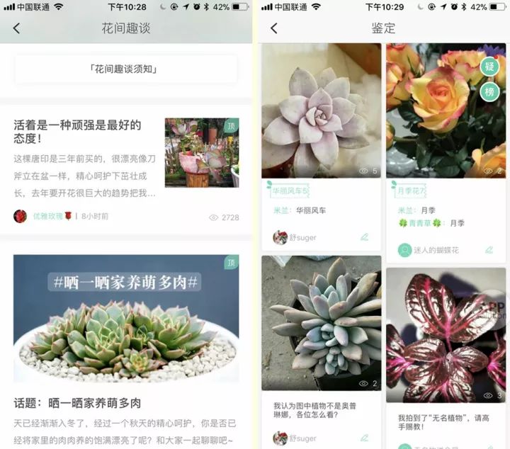 想知道那朵花的名字？试试用这三款 App 扫一扫