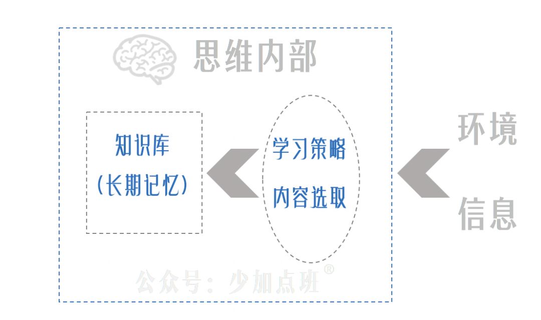 自毁简史：对一切“学习问题”来一次总清算