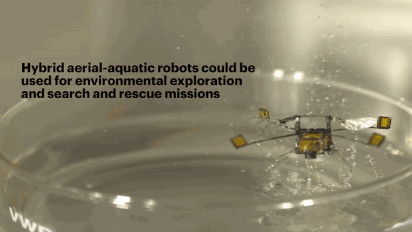 哈佛的机器人创新：会飞的“小蜜蜂”，还有穿在身上的机器人