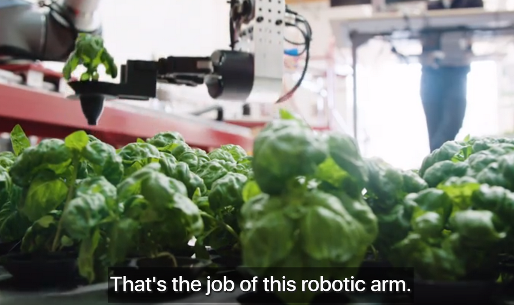 自主种蔬菜、无损摘水果，市场已经把人类的食物供应交给机器人了