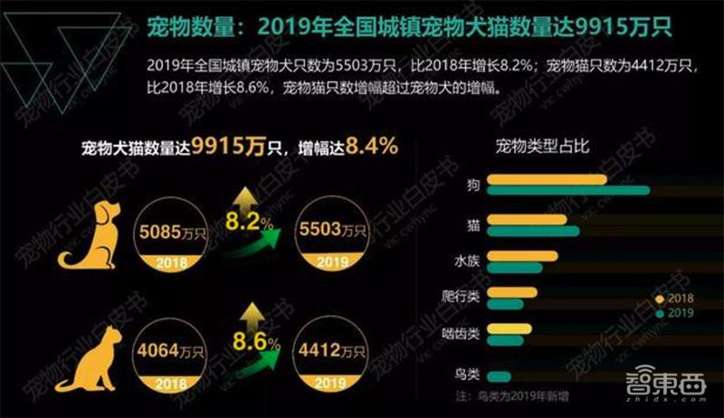 AI解救铲屎官，喵脸识别、狗粮定制，宠物智能生活精彩远超想象