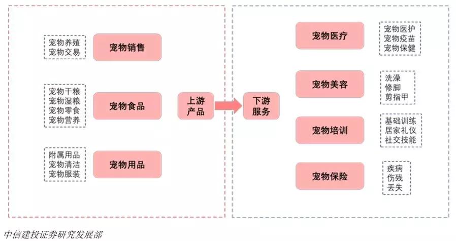 在中国，9千万萌宠正在静待民族品牌突围
