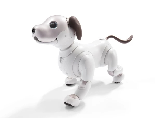 我一直觉得“机器宠物狗”是个笑话，直到见到索尼的 Aibo