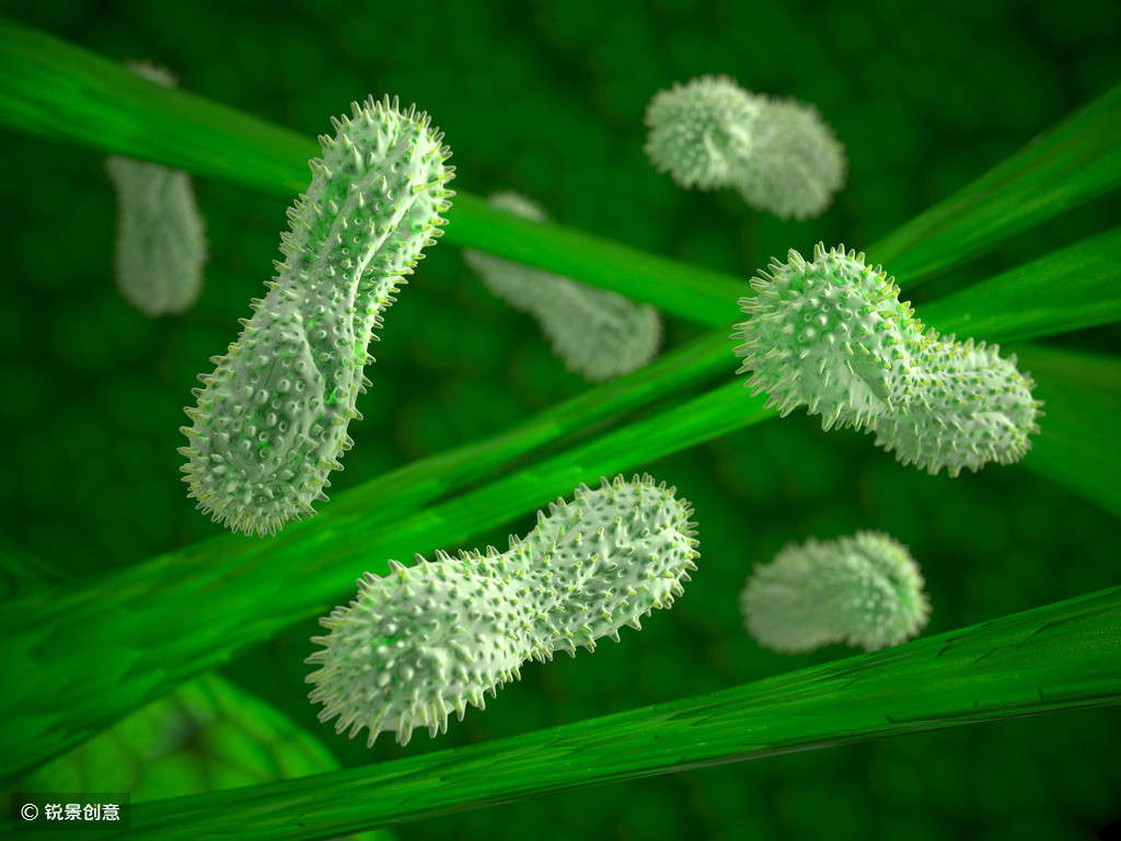 专注于微生物资源商业化 慕恩生物 获数千万元b轮融资 详细解读 最新资讯 热点事件 36氪