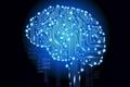让机器思考与互相理解：DeepMind提出机器心智理论神经网络ToMnet