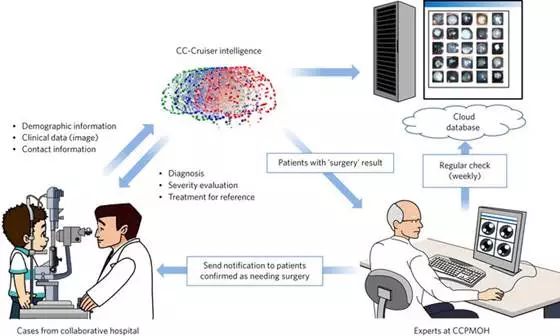 AI帮手来了，辅助医生诊断皮肤癌和白内障