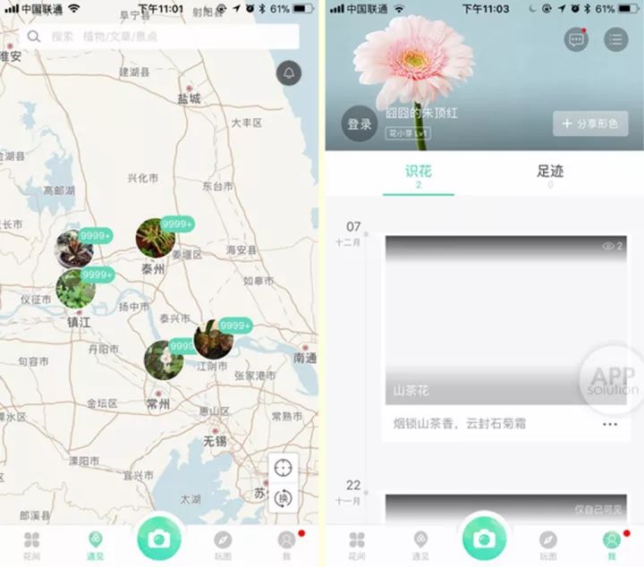 想知道那朵花的名字？试试用这三款 App 扫一扫