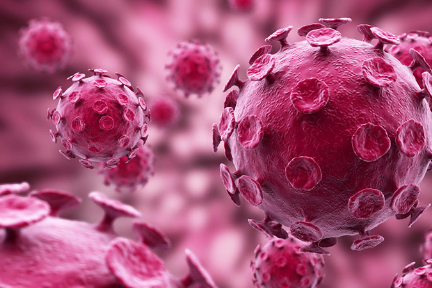 琢石资本：新冠病毒疫情下，国内创新消费企业及出海电商该何去何从？