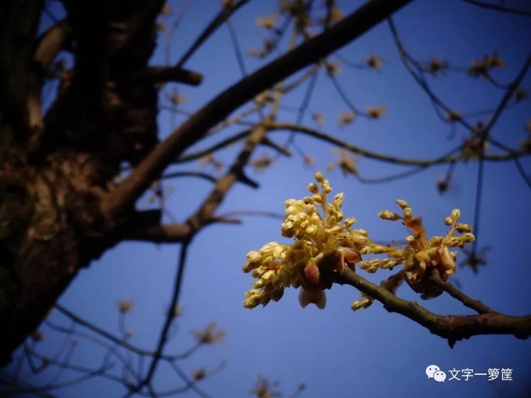 变化猝不及防，但当下是我们思考的最好时机