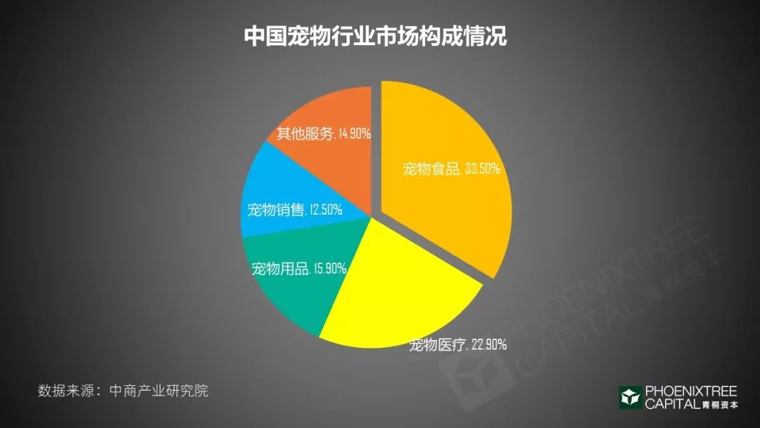 宠物经济：一门千亿级的孤独生意