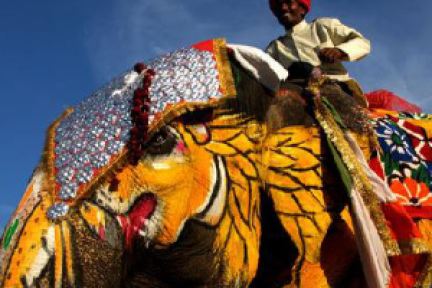 蜕变的大象：传统印度IT巨头的人工智能时代