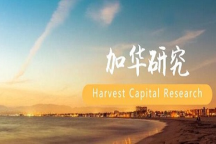 眼镜行业研究（一）：巨龙巨龙你擦亮眼 | 加华研究
