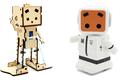 从动漫IP切入，Robosys用“张小盒”破局儿童教育陪伴机器人市场