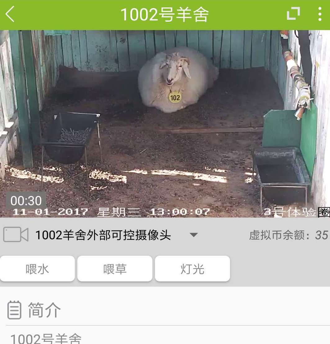 产品观察 | 百“抓”争艳， 线上抓娃娃的飚进史