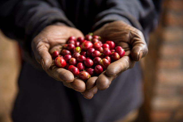 星巴克推出“豆到杯”区块链项目 将与38万家咖啡豆农场合作