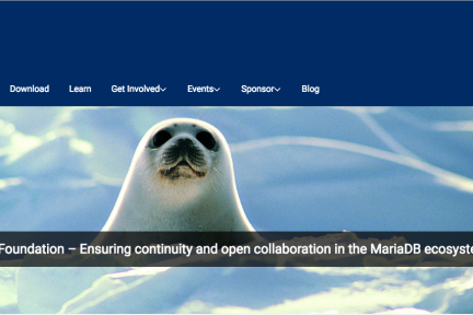 开源数据库服务商 MariaDB 获 2700 万美元资金，欧洲投资银行提供