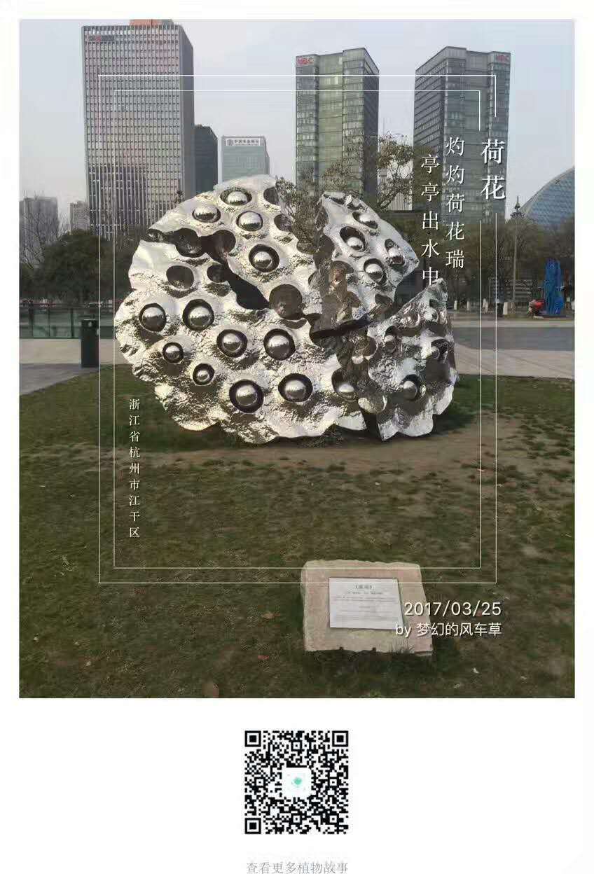 野百合or红杏？形色想借AI识花打造下一个现象级爆款
