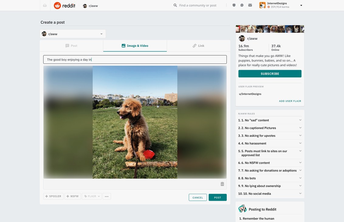 十年后的首次翻新：全球第四大网站Reddit 重新设计的内幕故事-36氪