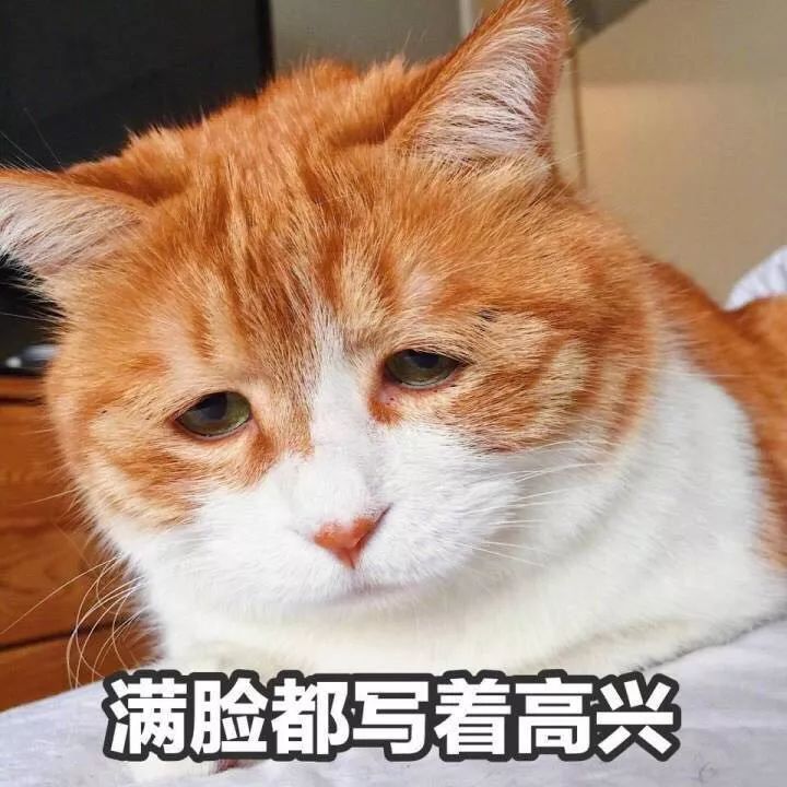 小程序里的「解忧室」！据说，它能解决你的所有问题和困扰
