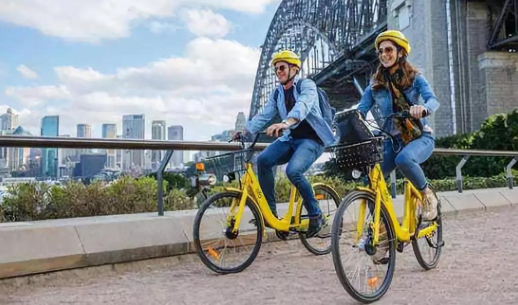 ofo：吸了资本的毒，戴威何“苦”？