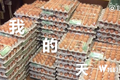 「平昌冬奥会运动员吃了15000个鸡蛋？·谈资」2月12日